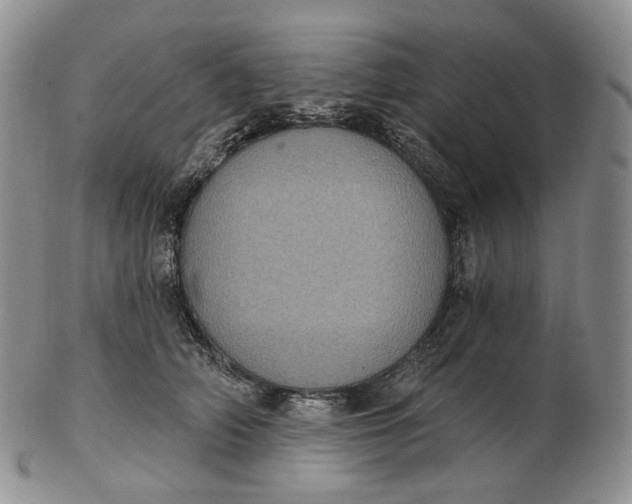 X0000102770706200809021030