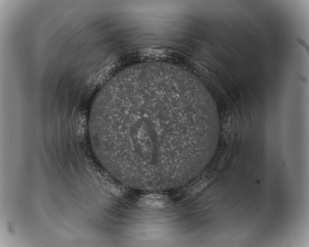 X0000102770708200809021030