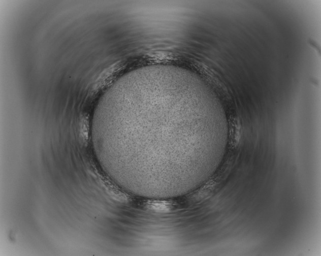 X0000102770710200809021029