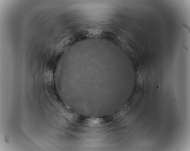 X0000102770711200809021029