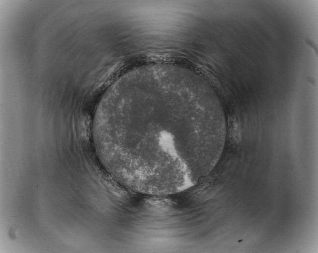 X0000102770712200809021029