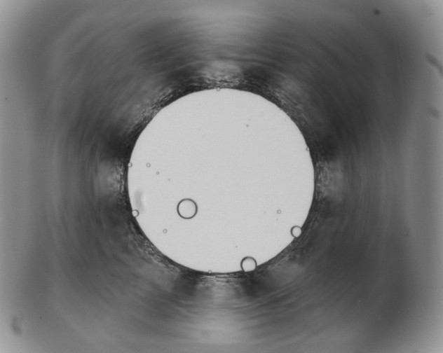 X0000102770713200809021029