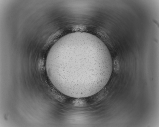 X0000102770714200809021029