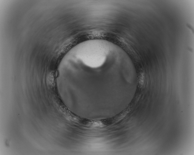 X0000102770715200809021029