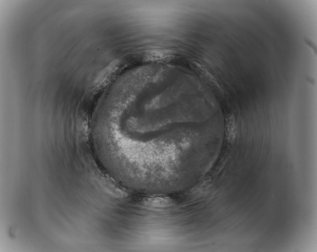 X0000102770716200809021029