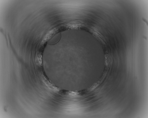 X0000102770718200809021029