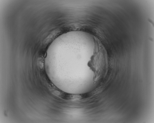 X0000102770719200809021029