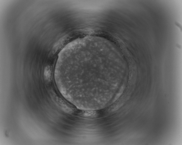 X0000102770720200809021029