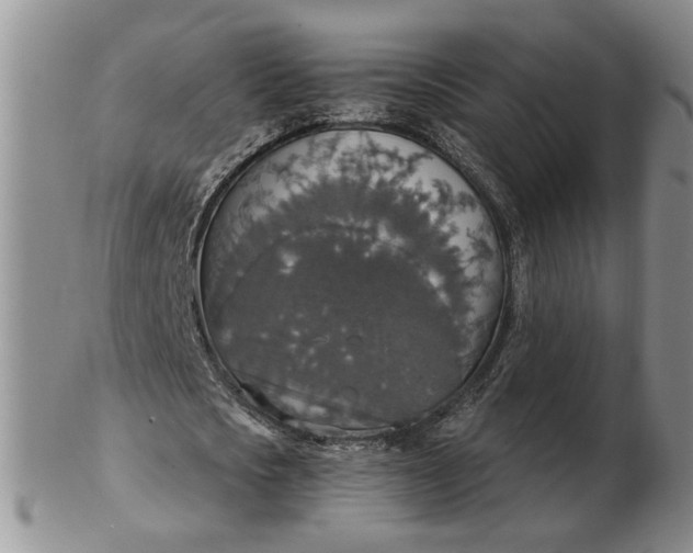 X0000102770721200809021029