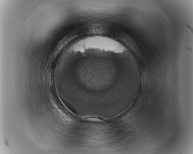 X0000102770722200809021029