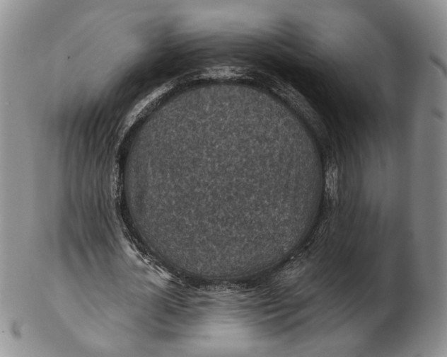 X0000102770724200809021029