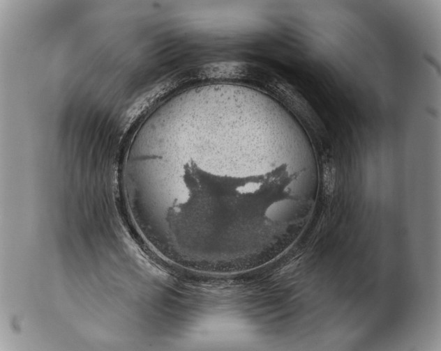 X0000102770725200809021029