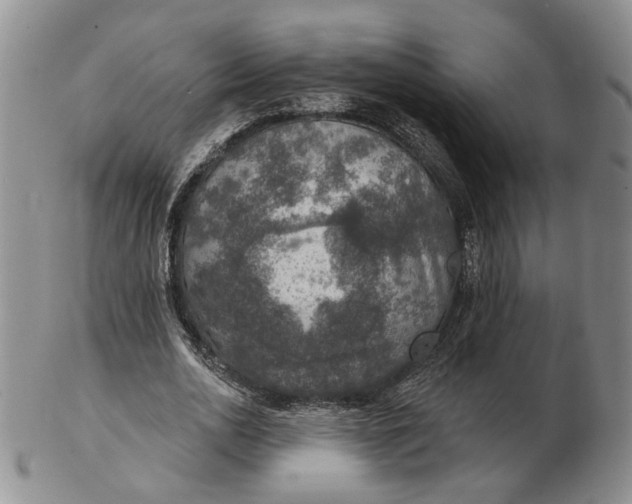 X0000102770726200809021029