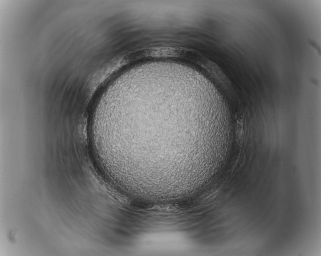 X0000102770727200809021029