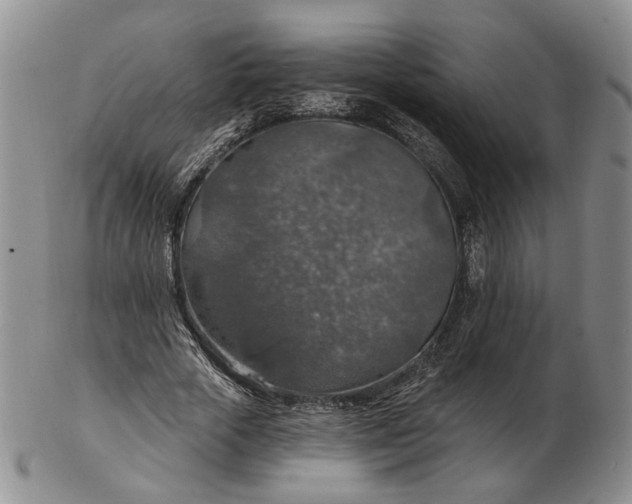 X0000102770729200809021029