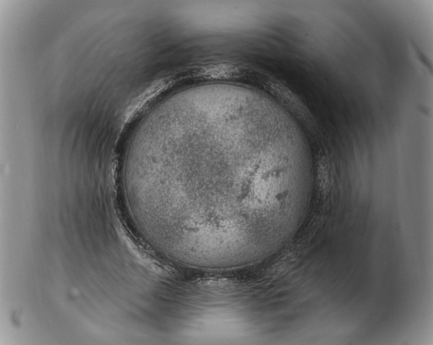 X0000102770730200809021029