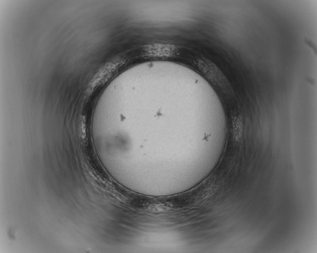 X0000102770731200809021029