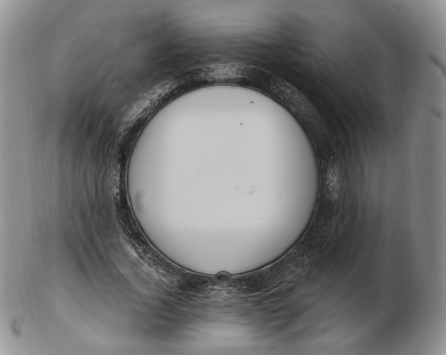 X0000102770732200809021029