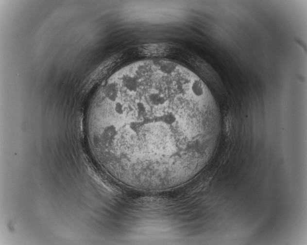 X0000102770733200809021029