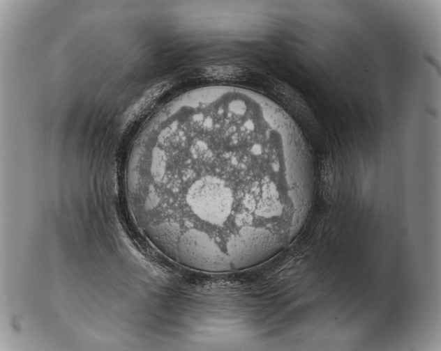 X0000102770734200809021029