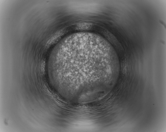 X0000102770735200809021029