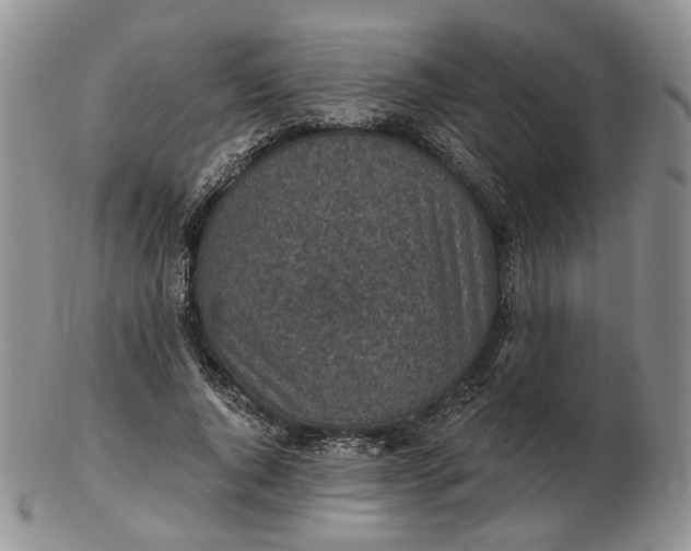 X0000102770736200809021029