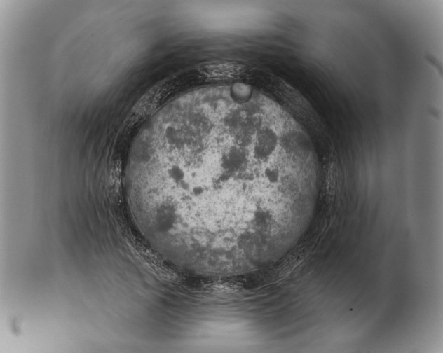 X0000102770737200809021029