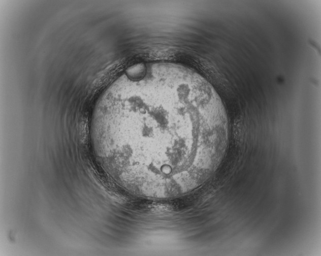 X0000102770741200809021029