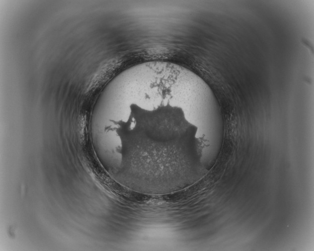 X0000102770742200809021029