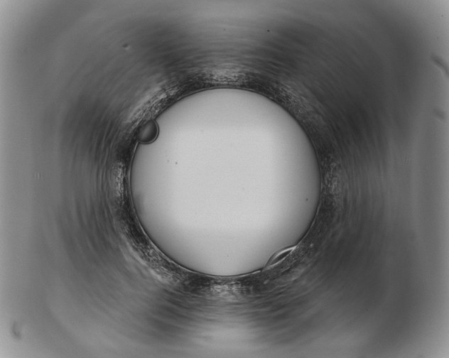 X0000102770744200809021029