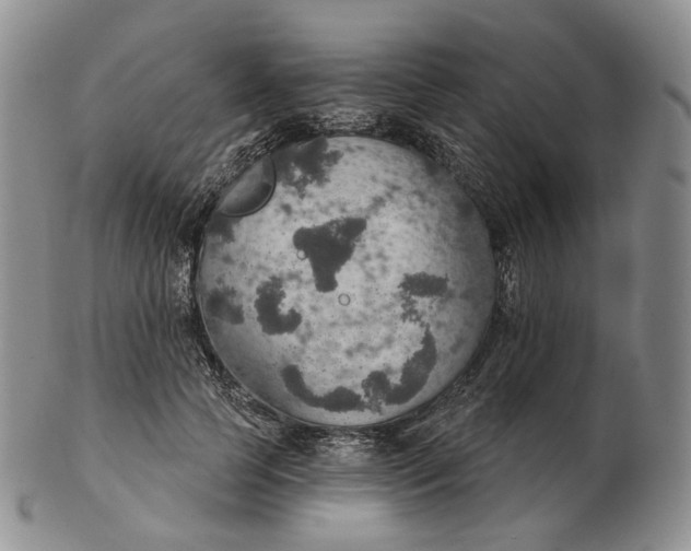 X0000102770745200809021029