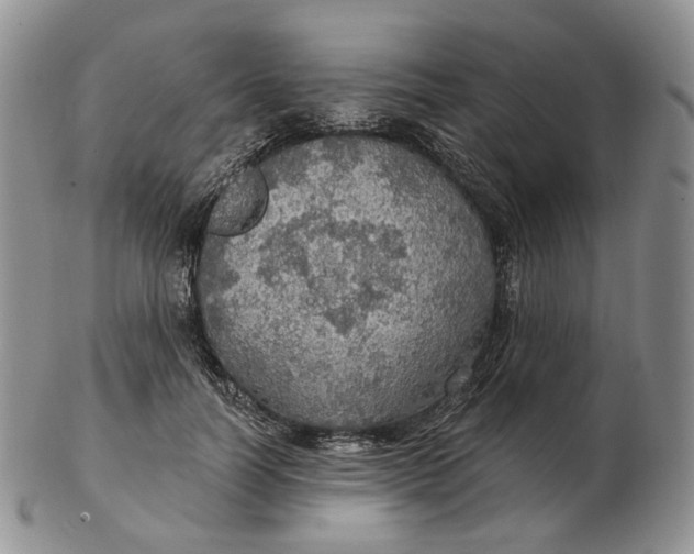 X0000102770746200809021029