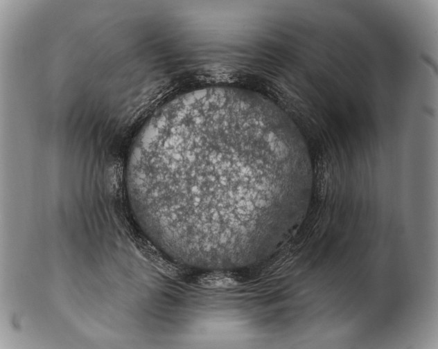 X0000102770747200809021029