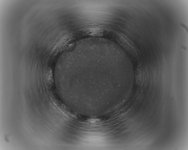 X0000102770748200809021029