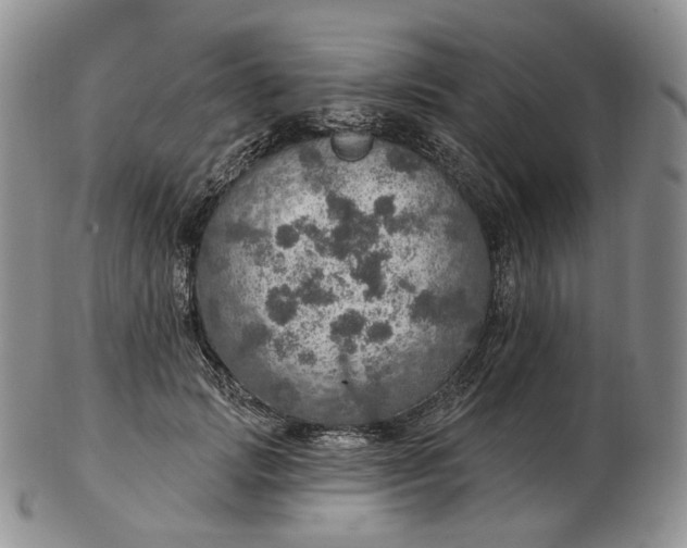 X0000102770749200809021029