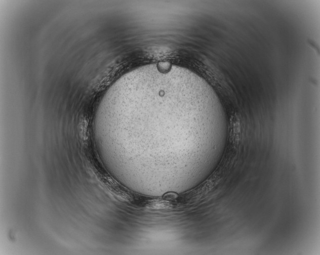 X0000102770750200809021029