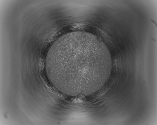 X0000102770751200809021029