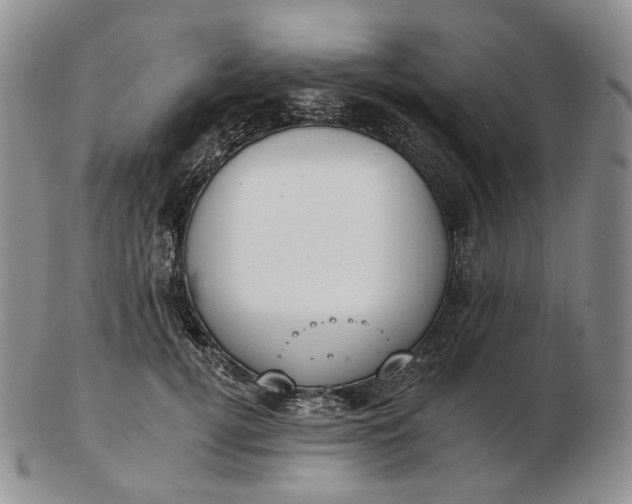 X0000102770752200809021029