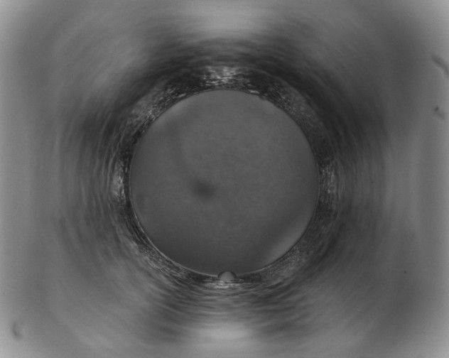 X0000102770754200809021029