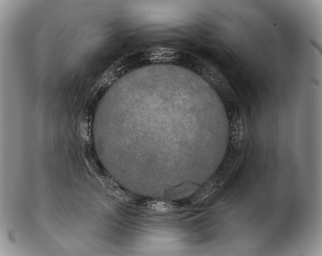 X0000102770755200809021029