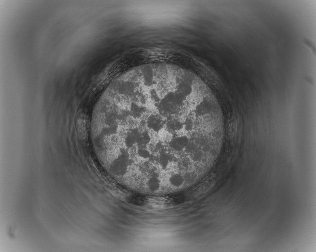 X0000102770757200809021029