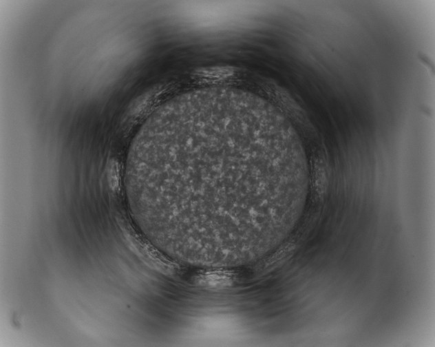 X0000102770758200809021029