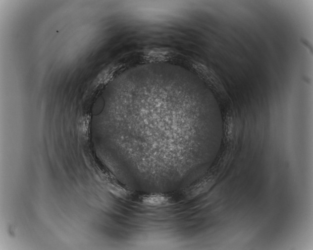 X0000102770759200809021029