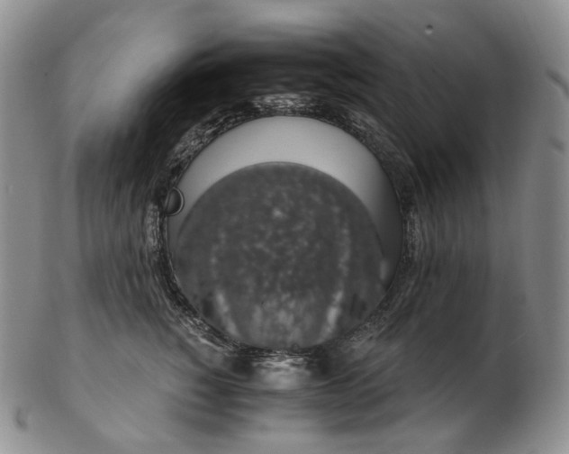 X0000102770760200809021029