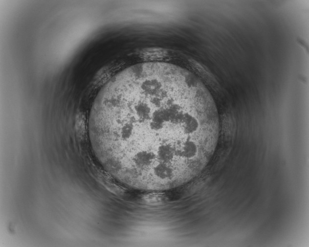 X0000102770761200809021029