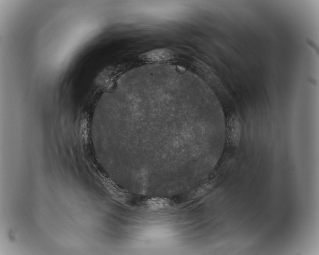 X0000102770762200809021029