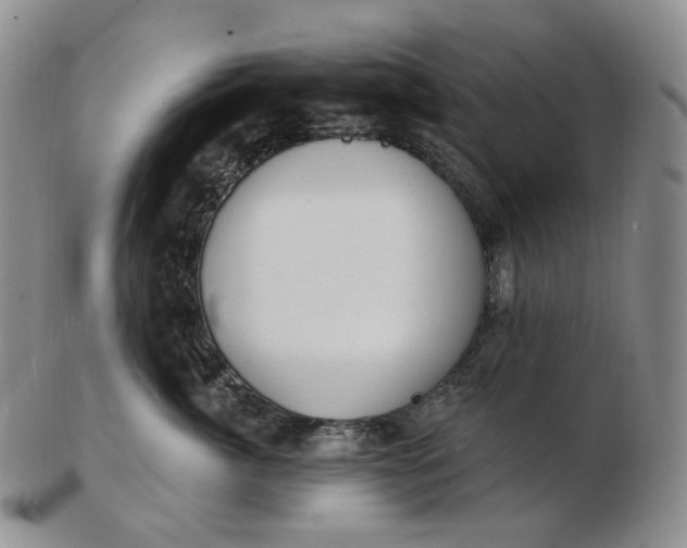 X0000102770764200809021029