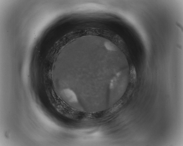 X0000102770765200809021029