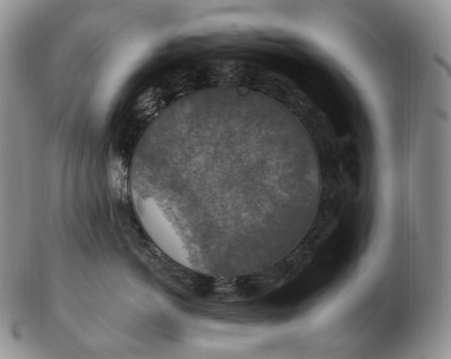 X0000102770766200809021029