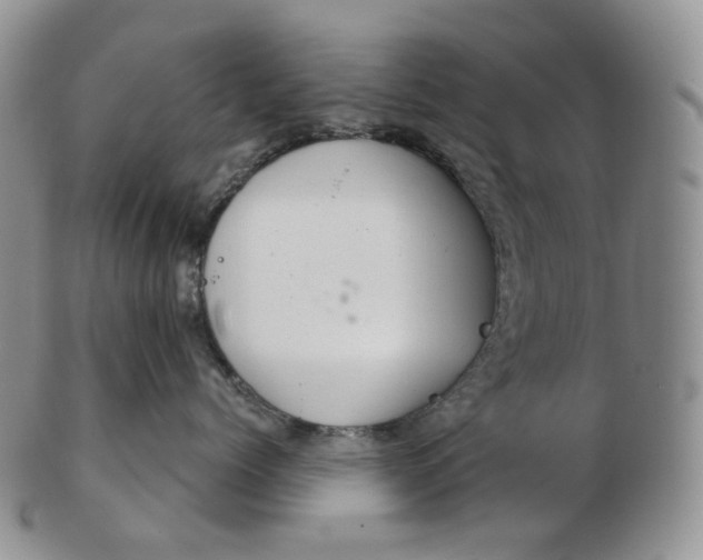 X0000102770768200809021029